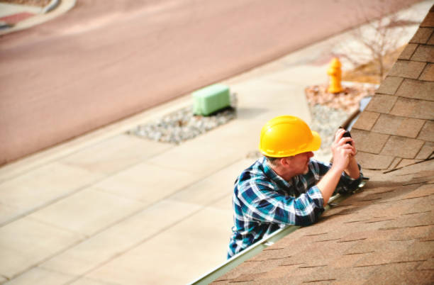 Roof Moss and Algae Removal in East Helena, MT